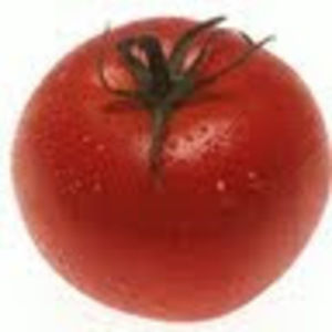 Meet your Posher, Elise